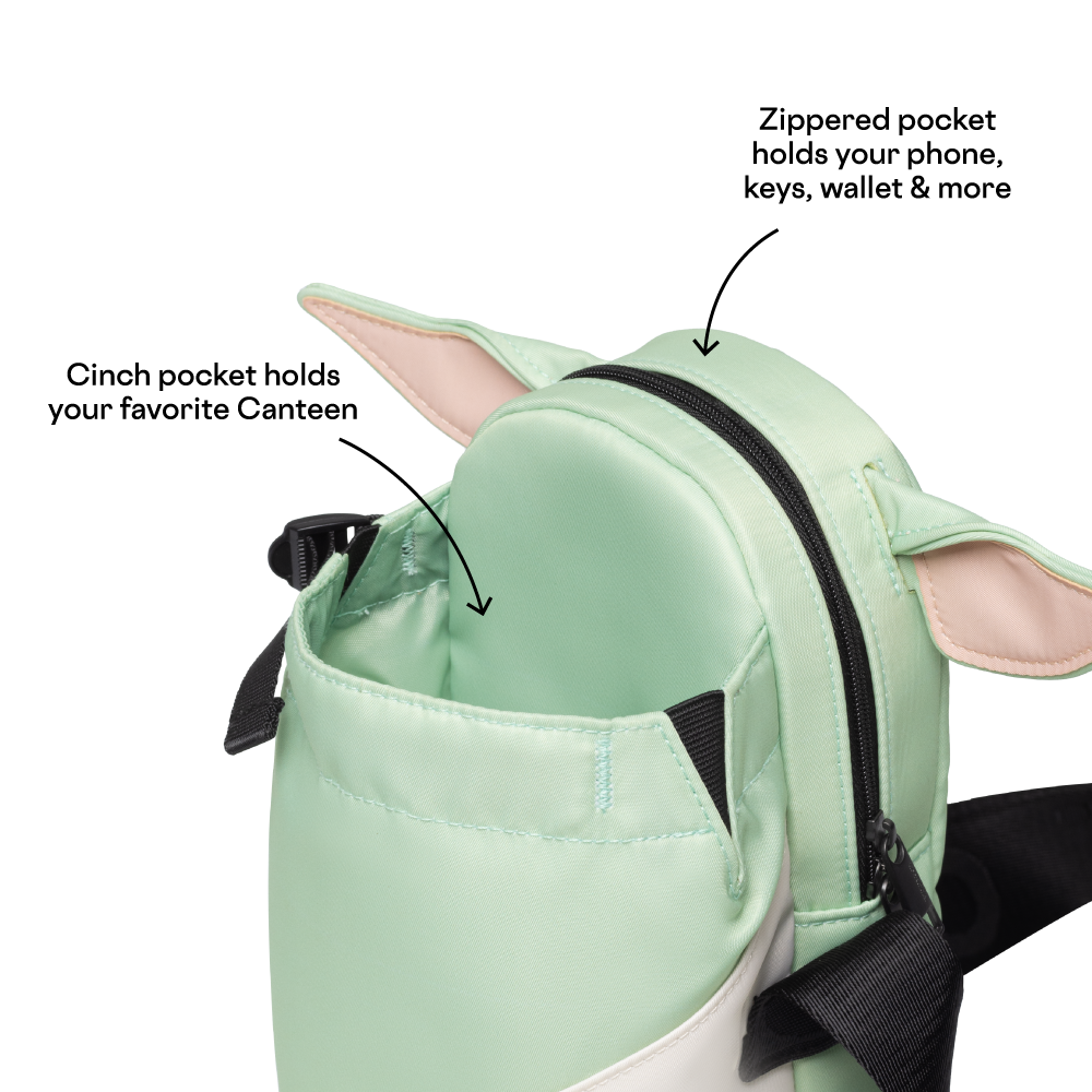 disney-sling-n4 53593b3e49e2--Sling-PDP-4.png