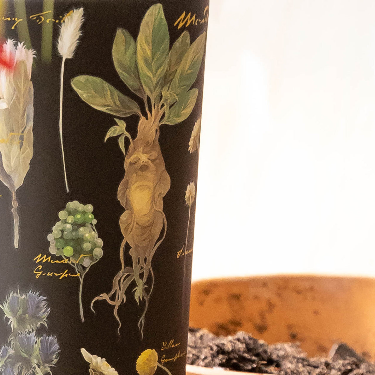 harry-potter-cold-cup-m9 Herbology-3.jpg