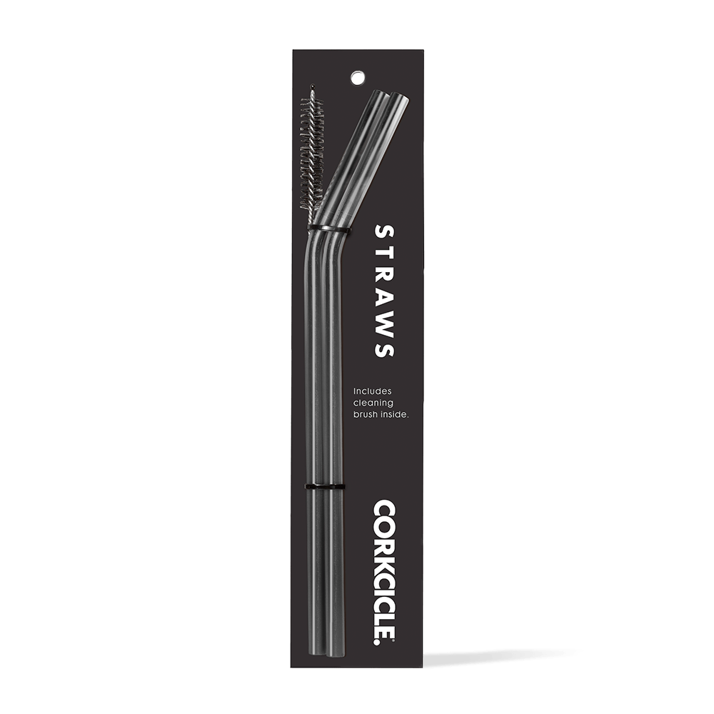 tumbler-straw-2-pack-f9 gunmetal.png